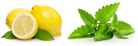 /products/jabon-de-glicerina-limon-y-menta/